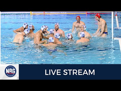 VK NBG - VK Radnicki 20:00, 3.11.2024.