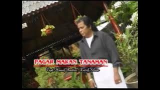 Pagar Makan Tanaman - Bidin Khan