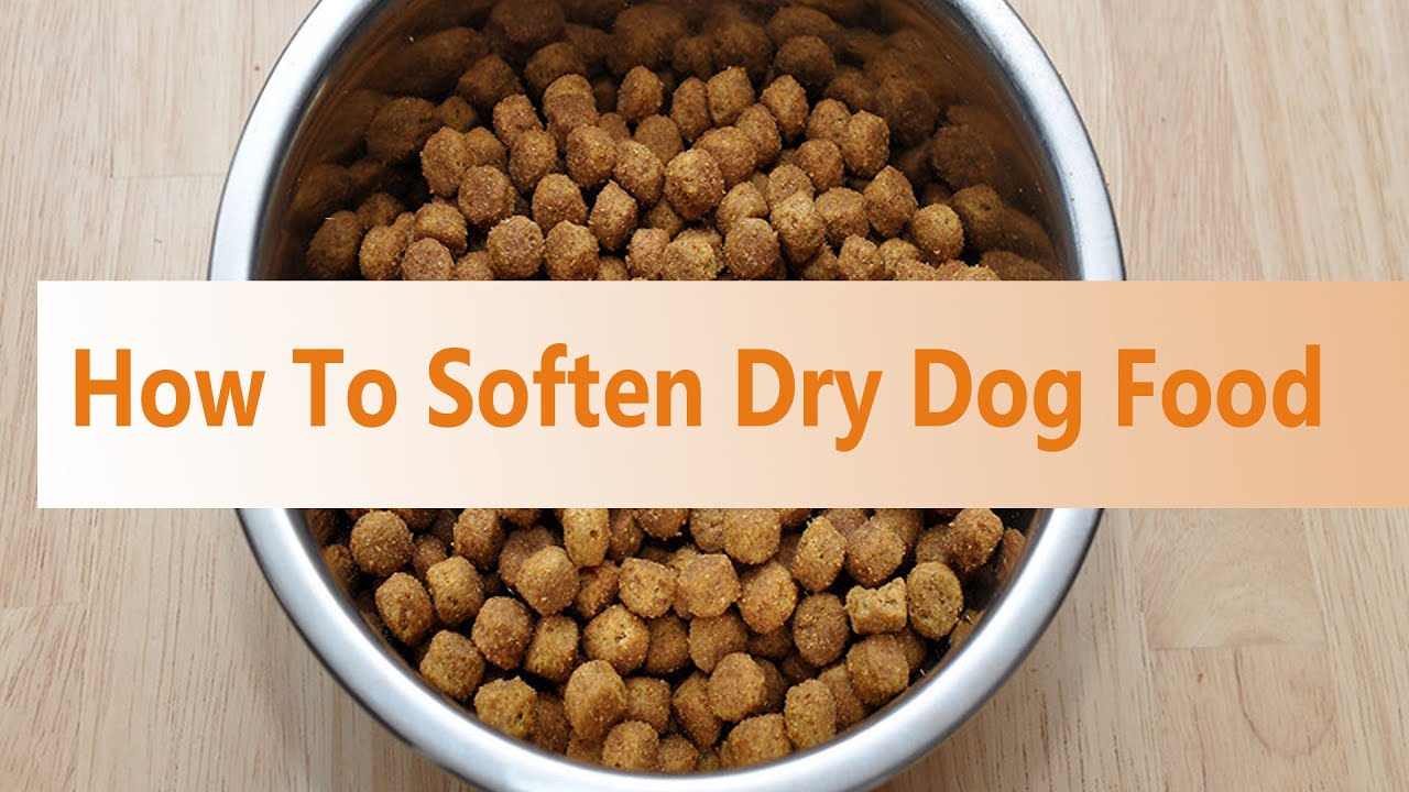 Revitalize Your Senior Dog's Dental Health with Soft Dog Food