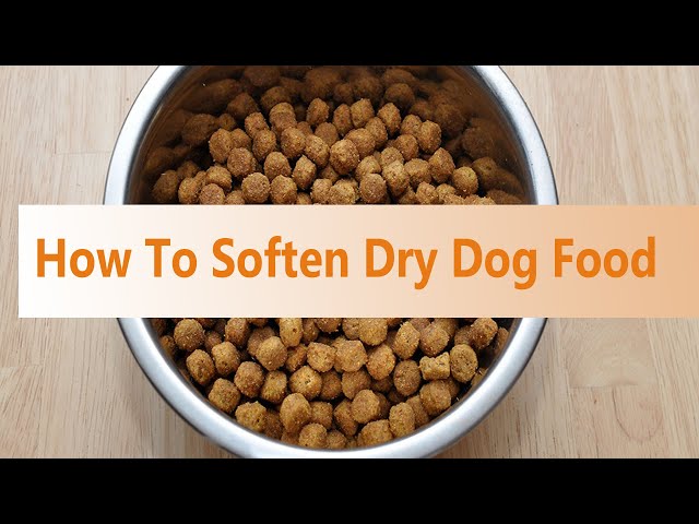Soft Dry Dog Food