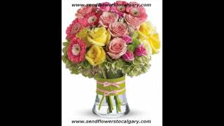 best evanston florist