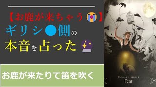 【説教部屋Vol.85】お鹿が来ちゃうギリシャ側の本音