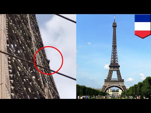 Video: Menara Eiffel Ditutup Sementara Setelah Manusia Memanjatnya