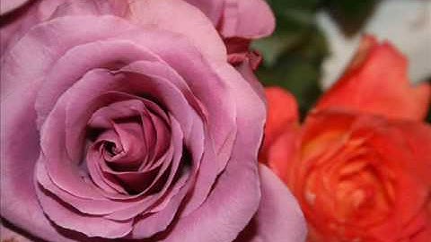 Setting Intentions and Taking Action