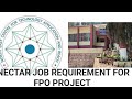 Nectar job requirement for fpo project