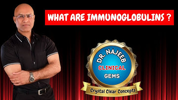 What are Immunoglobulins | An introduction🩺