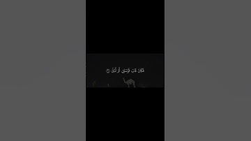 ما تيسر من سورة النجم ❤️❤️❤️