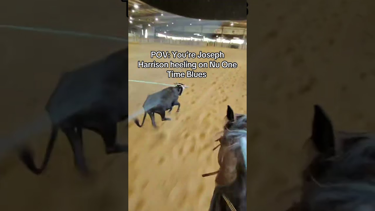 POV: Ты Джозеф Харрисон, играющий в Nu One Time Blues 😎