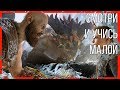 GOD OF WAR [HARD] - 6 - Как задушить Дракона