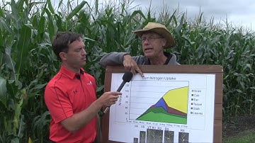 Corn School: At least 13 different ways to apply nitrogen