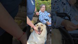 Lady and Zeke sharing their love!#pets#dog#greatpyrenees#therapy#happy#generous