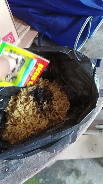 cara ampuh racik racun tikus