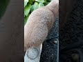 Became More Careful Catmichel Cat Joke Stathamvoice Jasonstatham Stathamhumor Humor Cat Became More Careful Catmichel Cat Joke Stathamvoice Jasonstatham Stathamhumor Humor Cat