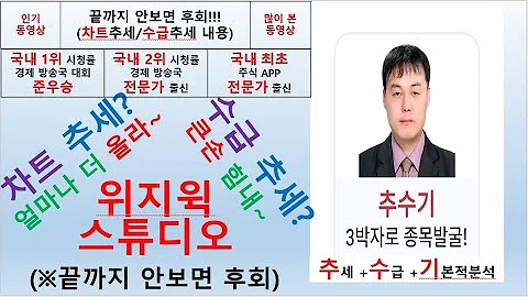 위지윅스튜디오(299900) 추수기(추수) 전문가 종목 분석