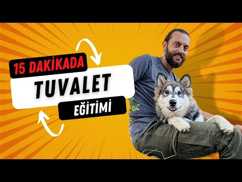 Video: Köpek kepek ev çare