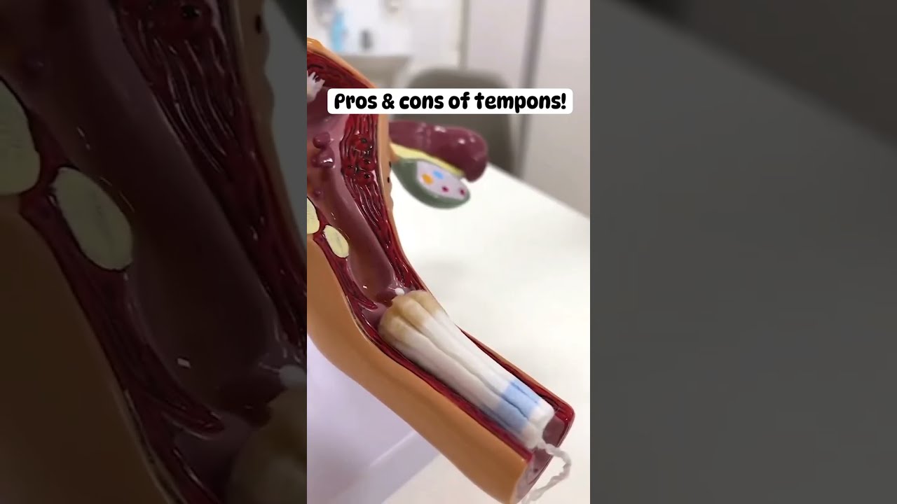How To Use Tampons What Is Of Tampon Looks Like Pros And Cons 