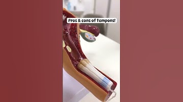 Thumbnail of How to use Tampons | What is use of Tampons | how tampon looks like | Pros and cons of tampon |