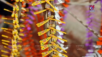 Thach Xa bamboo dragonflies