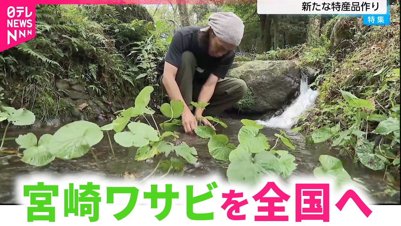 【挑戦】霧島連山の湧水で