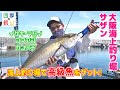 夏だ！家族で楽しもう！海上釣り堀で高級魚をゲット！（四季の釣り/2022年8月12日放送）