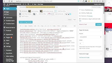 CodeCanyon, DZS ZoomTabs and Accordions WordPress - Demo how to edit title