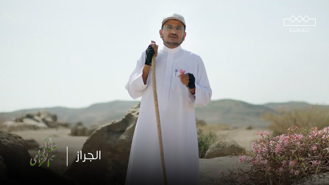 شقائق الخزامى | الجراز