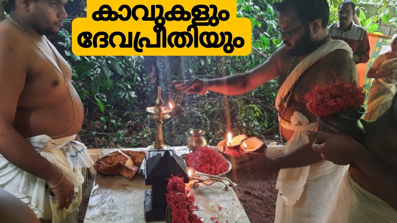 കാവുകളും പുനരുദ്ധാരണവും/Kavu/Sarpakavu@ALEX ANJANA VLOGS