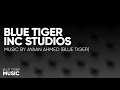 Blue tiger inc studios