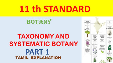 11 th Std-Chapter 5-Taxonomy and systematic botany-PART 1-Tamil explanation