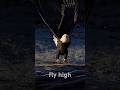 FLY #believeinyourself #keeppushingforward #staymotivated #successmindset