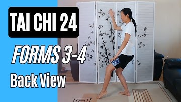 Tai Chi 24, Forms 3-4 White Crane & Brush Knee Back View with Instructions