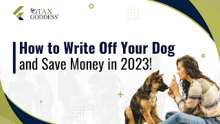 How to Write Off Your Dog and Save Money in 2023!