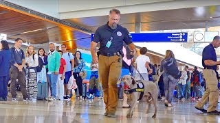 LAX Airport sound effects. Terminal B - Background Announcements, Police, Line...