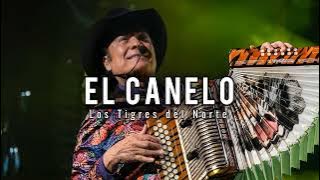 El Canelo | Los Tigres del Norte
