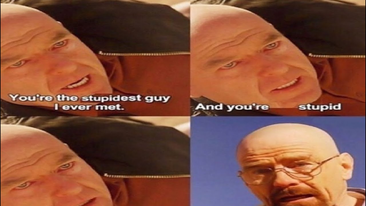 you're the stupidest guy i've ever met - YouTube