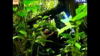 Jejak Jejak Misterius Trans 7  3 Agustus 2015 - Kemangmang Hantu Penyerang Berwujud Bola Api