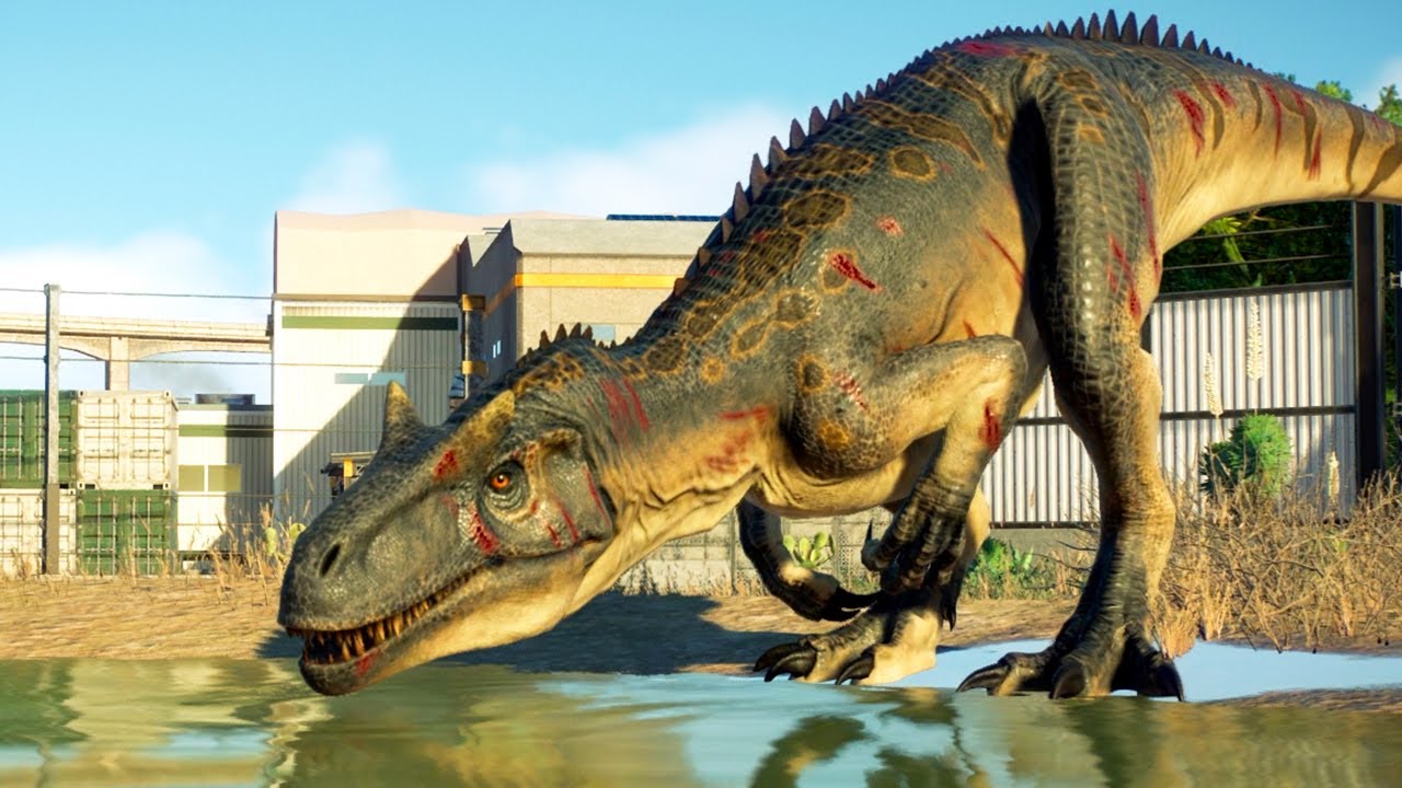 Dinosaur Battle Royale: Albertosaurus vs. Allosaurus vs. Ceratosaurus ...