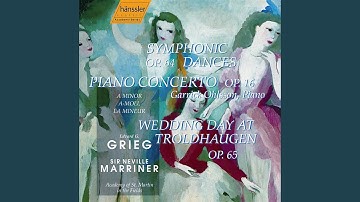II. Allegretto grazioso