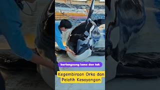Kegembiraan Orka dan Pelatih Kesayangan #shorts