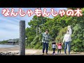 【MV】スン君一家×長ぐつ「なんじゃもんじゃの木」