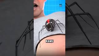 What Happens If You Get Bitten by a Spider😱