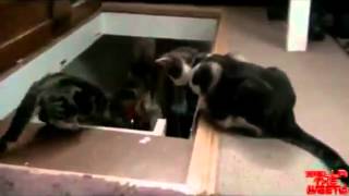 Arkadaşlık Dostluk Kötü Arkadaş İhanet