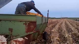 Full Corn picker, old self-propelled  News