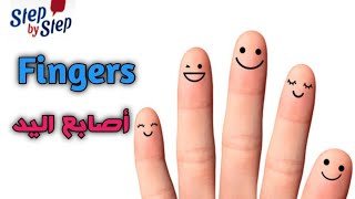 أسماء أصابع اليد بالإنجليزية 🗣️ Names of fingers 🗣️