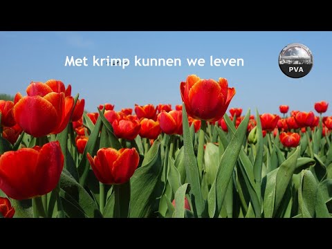 Video: Krimp behandelde heiningspa altjies?