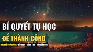 Tự Học Suốt Đời: Chìa Khóa Thích Nghi và Phát Triển Trong Thế Giới Hiện Đại