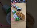 the mini smallest rat in my project 🤯#shorts #experiment #viral #like