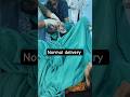 Normal delivery #drricha #prayasotlife #babybirth #shorts