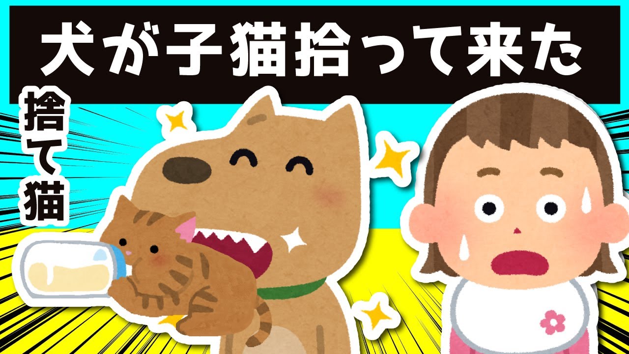犬が捨て猫を拾ってきた結果…ｗｗｗ