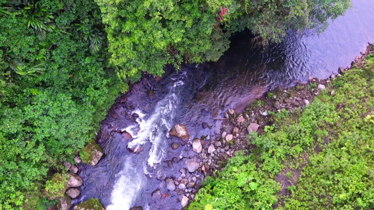 Highway to WildSumaco Lodge | WILD ECUADOR ADVENTURES